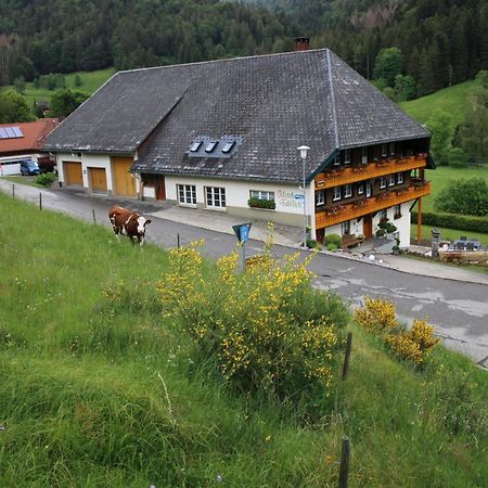 Ferienwohnung Haus Talblick Todtmoos Exterior foto