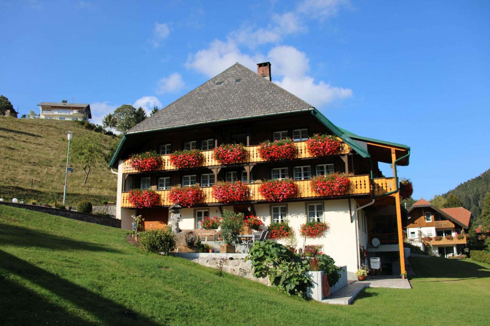 Ferienwohnung Haus Talblick Todtmoos Exterior foto